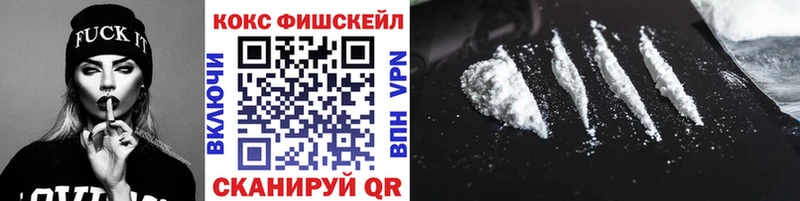 mega рабочий сайт  Котлас  Cocaine Fish Scale 