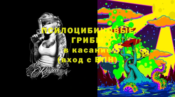 mdpv Надым