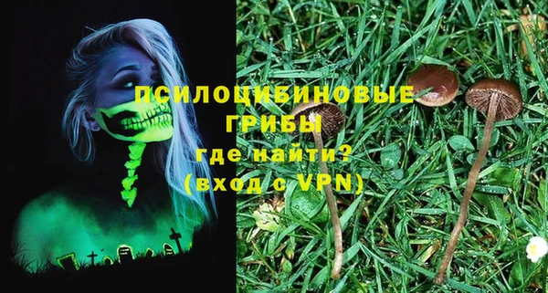 mdpv Надым