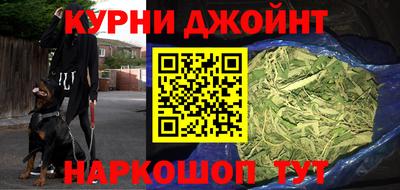 стафф Камышлов