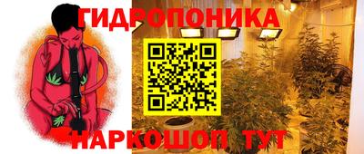 стафф Камышлов