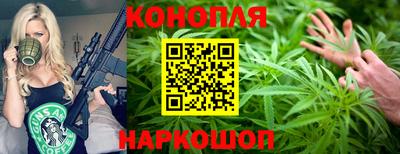 стафф Камышлов