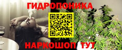 стафф Камышлов