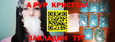 стафф Камышлов