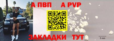 стафф Камышлов