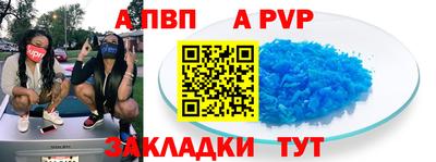 стафф Камышлов