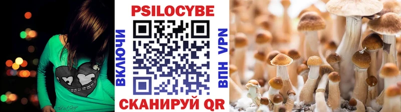 Галлюциногенные грибы мухоморы наркошоп Котлас
