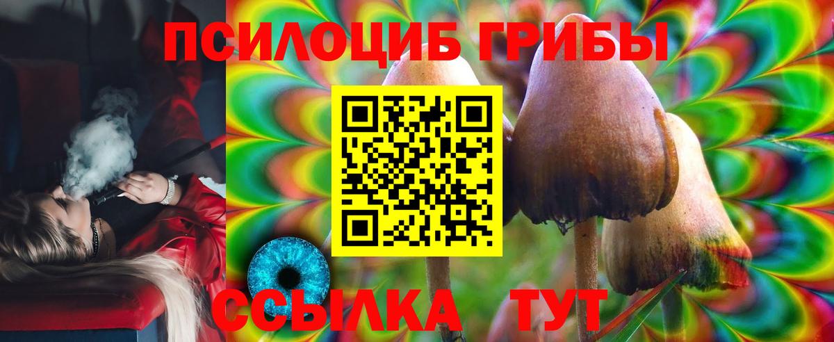 Галлюциногенные грибы Psilocybe  Вход с VPN  Котлас 